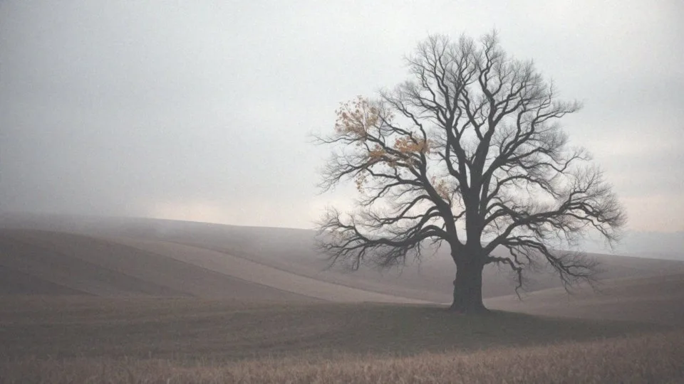 Jak trudne doświadczenia pozwalają odkryć naszą siłę ducha?