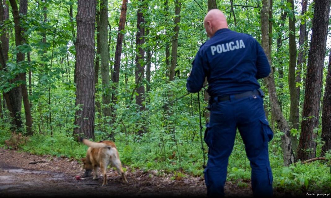 Skuteczna akcja policji na Pogodnie: Zatrzymani złodzieje włazów do studzienek