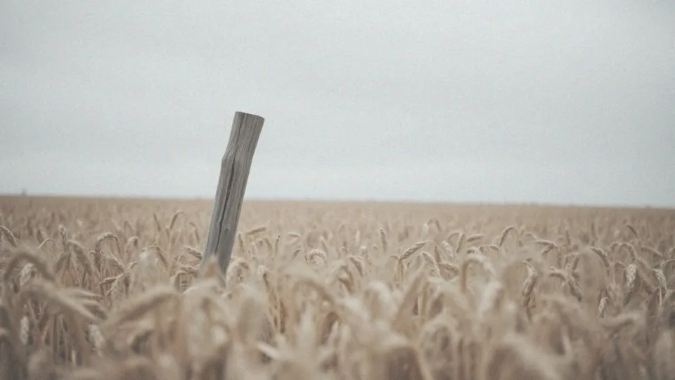 Rozważ jakie postawy może przyjmować człowiek wobec trudnych doświadczeń życiowych