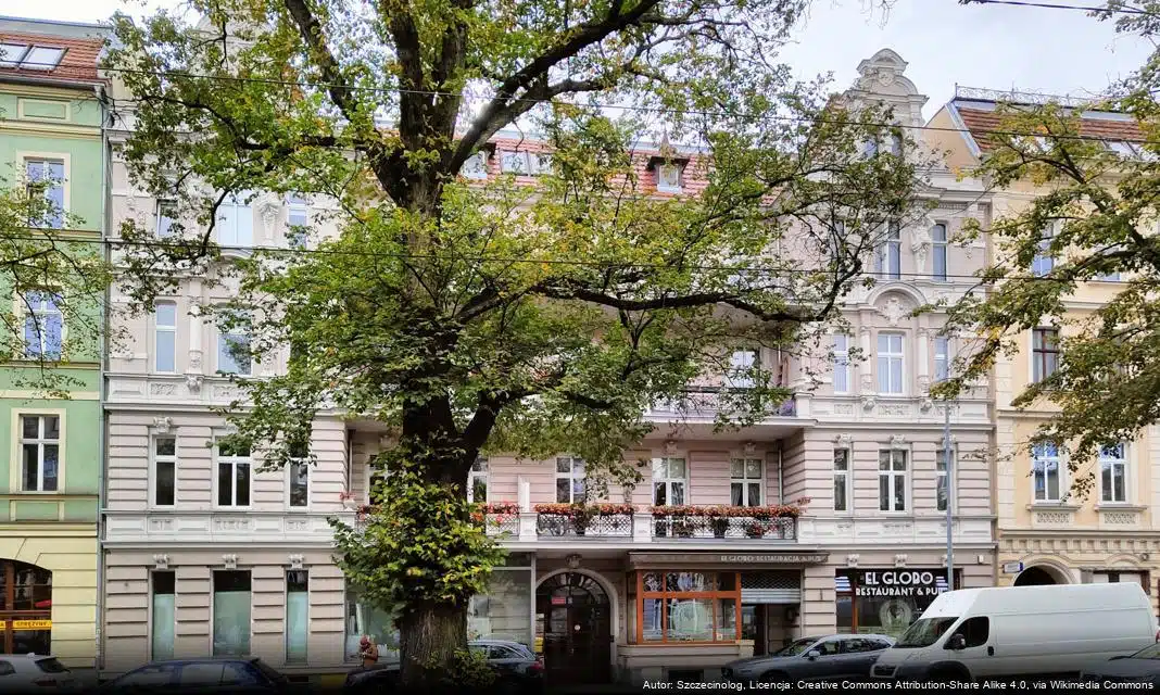 Prace torowe na ul. Arkońskiej w Szczecinie