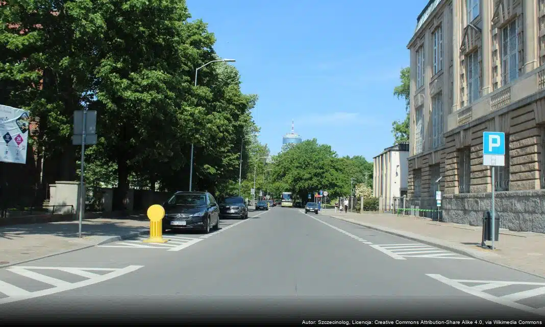 Weekend w Szczecinie: Jarmark Jakubowy, Mizukon i Męskie Granie 2025