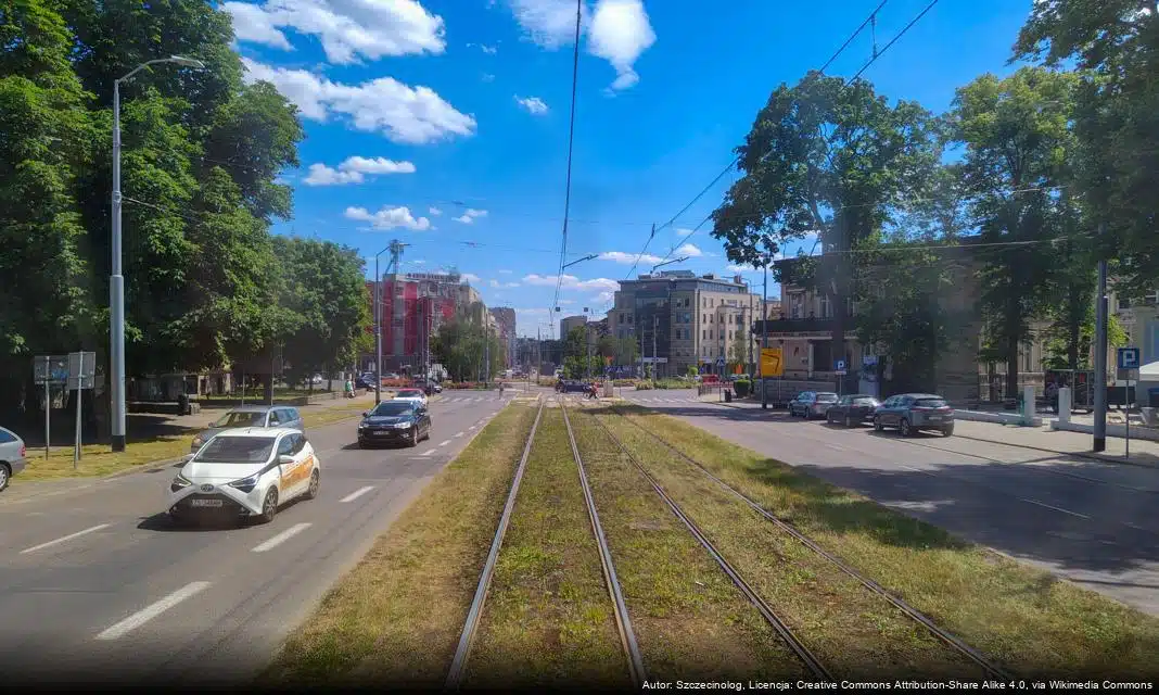 19. Dąbskie Wieczory Filmowe – Zaczynamy wyjątkowe wydarzenie na plaży