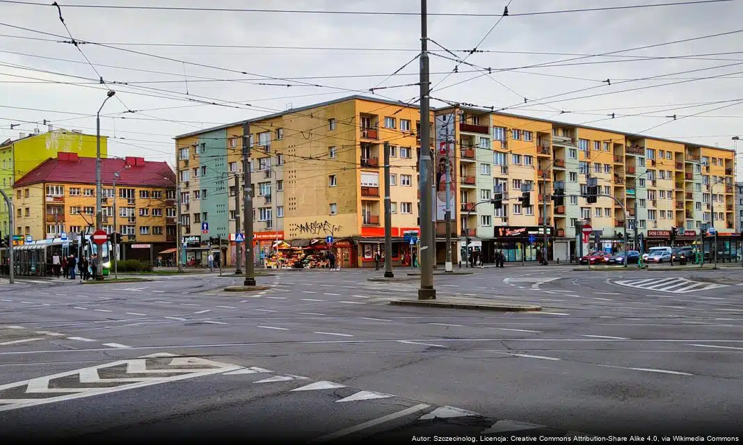 Powiększenie lasów w Szczecinie – nowy projekt zalesiania na Skolwinie