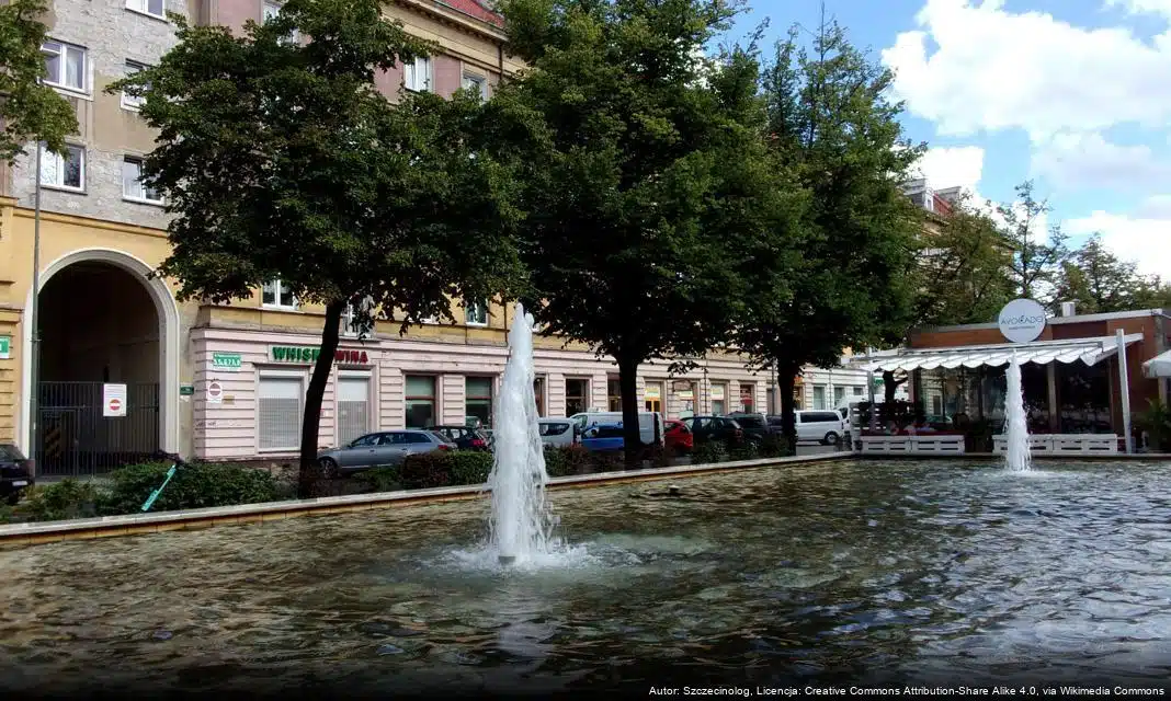 Familijne wieczory filmowe w Szczecinie – Kino na Leżakach